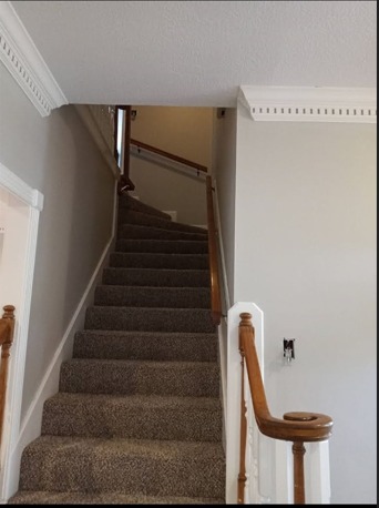 481900221_603309016021894_3787890360929154992_n